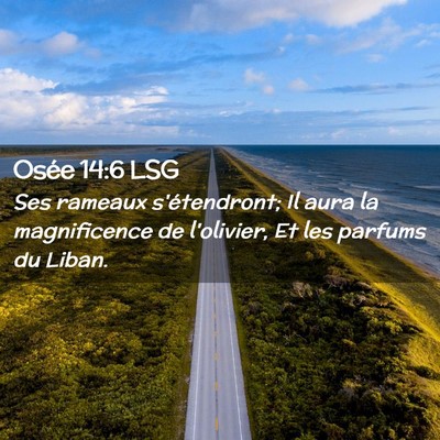 Picture 02 - Osée 14:6 LSG - Ses rameaux s'étendront; Il aura la magnificence - Bible Verse Picture