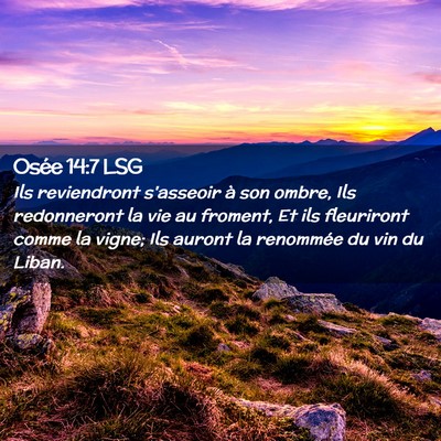 Picture 02 - Osée 14:7 LSG - Ils reviendront s'asseoir à son ombre, Ils - Bible Verse Picture