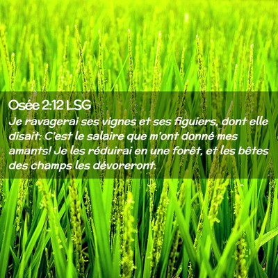 Picture 02 - Osée 2:12 LSG - Je ravagerai ses vignes et ses figuiers, dont - Bible Verse Picture