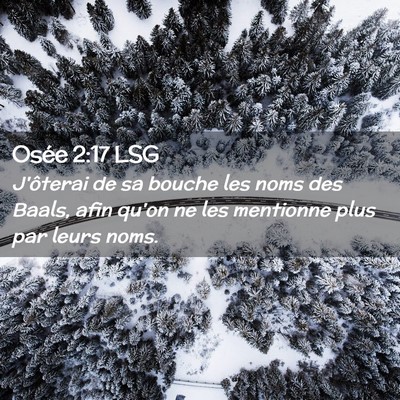 Picture 02 - Osée 2:17 LSG - J'ôterai de sa bouche les noms des Baals, afin - Bible Verse Picture