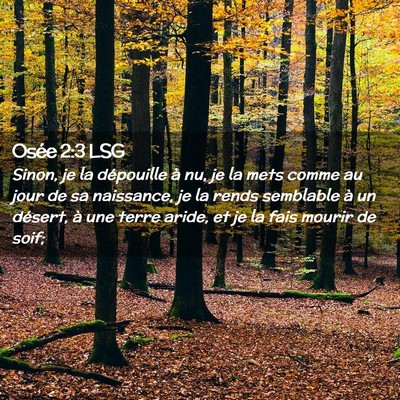 Picture 02 - Osée 2:3 LSG - Sinon, je la dépouille à nu, je la mets comme - Bible Verse Picture
