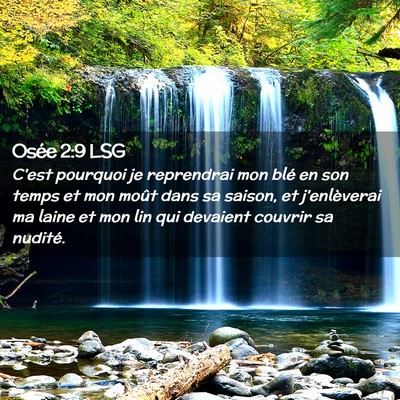 Picture 02 - Osée 2:9 LSG - C'est pourquoi je reprendrai mon blé en son - Bible Verse Picture