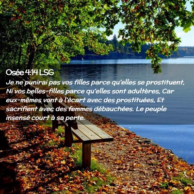 Picture 02 - Osée 4:14 LSG - Je ne punirai pas vos filles parce qu'elles se - Bible Verse Picture