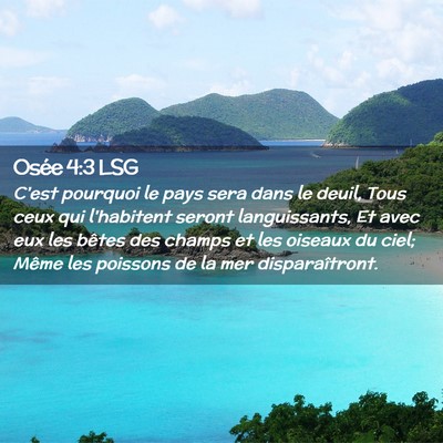 Picture 02 - Osée 4:3 LSG - C'est pourquoi le pays sera dans le deuil, Tous - Bible Verse Picture