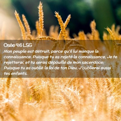 Picture 02 - Osée 4:6 LSG - Mon peuple est détruit, parce qu'il lui manque - Bible Verse Picture