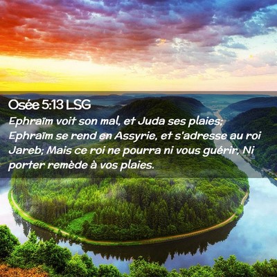 Picture 02 - Osée 5:13 LSG - Ephraïm voit son mal, et Juda ses plaies; - Bible Verse Picture