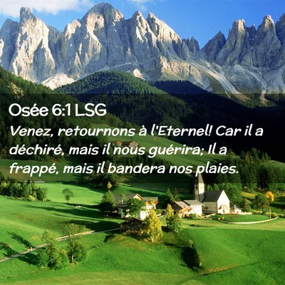 Picture 02 - Osée 6:1 LSG - Venez, retournons à l'Eternel! Car il a - Bible Verse Picture