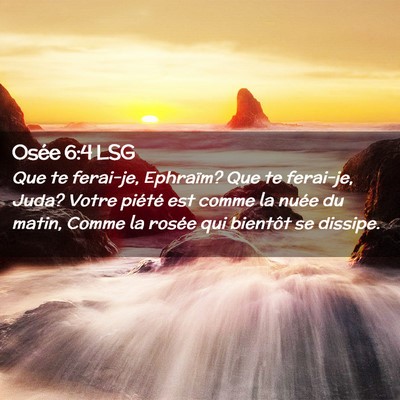 Picture 02 - Osée 6:4 LSG - Que te ferai-je, Ephraïm? Que te ferai-je, Juda? - Bible Verse Picture
