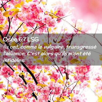 Picture 02 - Osée 6:7 LSG - Ils ont, comme le vulgaire, transgressé - Bible Verse Picture