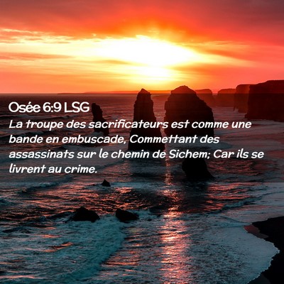 Picture 02 - Osée 6:9 LSG - La troupe des sacrificateurs est comme une bande - Bible Verse Picture