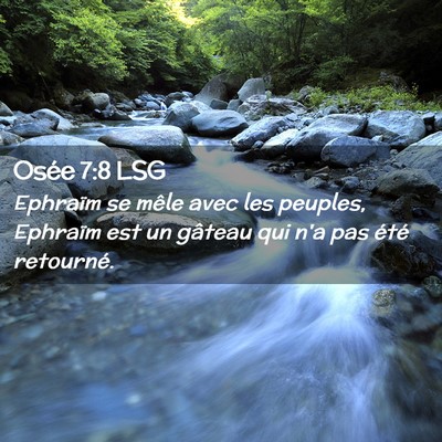 Picture 02 - Osée 7:8 LSG - Ephraïm se mêle avec les peuples, Ephraïm est - Bible Verse Picture