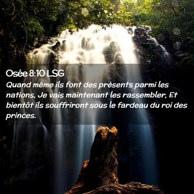 Picture 02 - Osée 8:10 LSG - Quand même ils font des présents parmi les - Bible Verse Picture