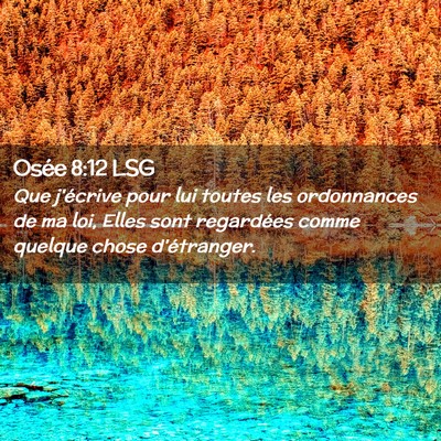 Picture 02 - Osée 8:12 LSG - Que j'écrive pour lui toutes les ordonnances de - Bible Verse Picture