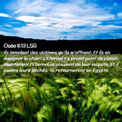 Picture 02 - Osée 8:13 LSG - Ils immolent des victimes qu'ils m'offrent, Et - Bible Verse Picture