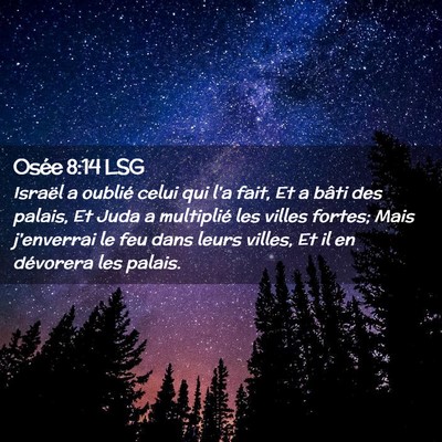 Picture 02 - Osée 8:14 LSG - Israël a oublié celui qui l'a fait, Et a bâti - Bible Verse Picture
