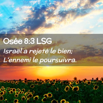 Picture 02 - Osée 8:3 LSG - Israël a rejeté le bien; L'ennemi le - Bible Verse Picture
