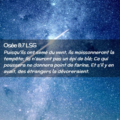 Picture 02 - Osée 8:7 LSG - Puisqu'ils ont semé du vent, ils moissonneront - Bible Verse Picture