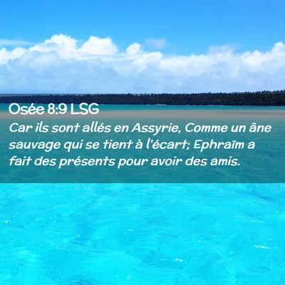 Picture 02 - Osée 8:9 LSG - Car ils sont allés en Assyrie, Comme un âne - Bible Verse Picture