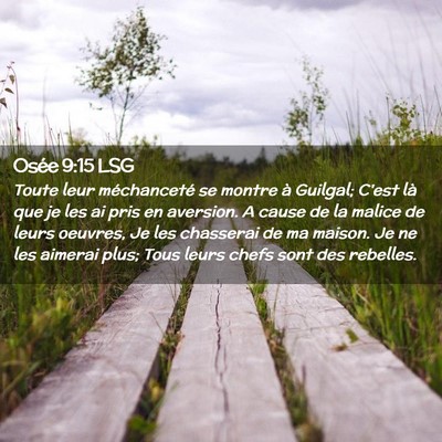 Picture 02 - Osée 9:15 LSG - Toute leur méchanceté se montre à Guilgal; - Bible Verse Picture