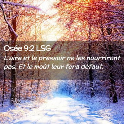 Picture 02 - Osée 9:2 LSG - L'aire et le pressoir ne les nourriront pas, Et - Bible Verse Picture