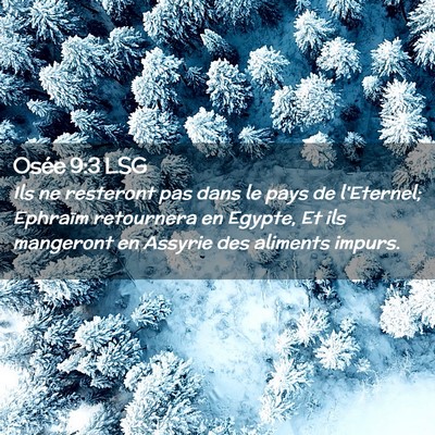 Picture 02 - Osée 9:3 LSG - Ils ne resteront pas dans le pays de l'Eternel; - Bible Verse Picture