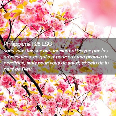 Picture 02 - Philippiens 1:28 LSG - sans vous laisser aucunement effrayer par les - Bible Verse Picture