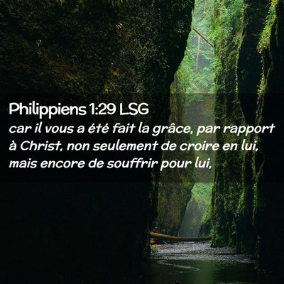 Picture 02 - Philippiens 1:29 LSG - car il vous a été fait la grâce, par rapport - Bible Verse Picture