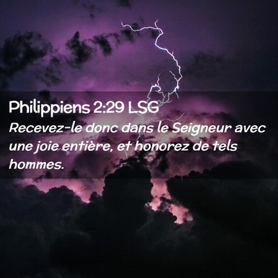 Picture 02 - Philippiens 2:29 LSG - Recevez-le donc dans le Seigneur avec une joie - Bible Verse Picture