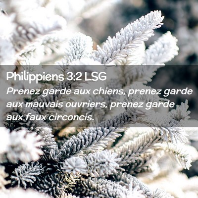 Picture 02 - Philippiens 3:2 LSG - Prenez garde aux chiens, prenez garde aux mauvais - Bible Verse Picture