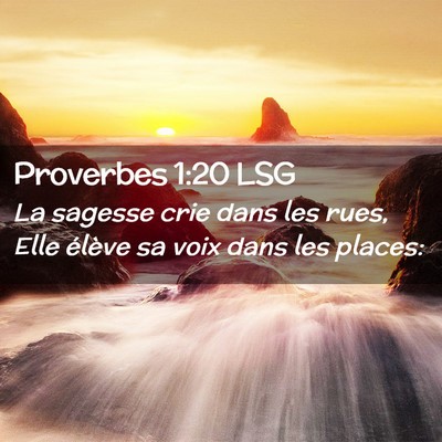 Picture 02 - Proverbes 1:20 LSG - La sagesse crie dans les rues, Elle élève sa - Bible Verse Picture