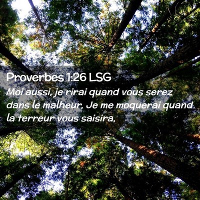 Picture 02 - Proverbes 1:26 LSG - Moi aussi, je rirai quand vous serez dans le - Bible Verse Picture