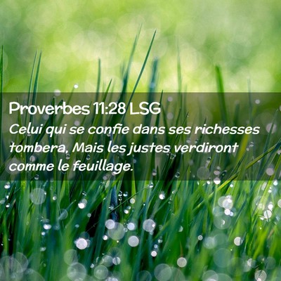 Picture 02 - Proverbes 11:28 LSG - Celui qui se confie dans ses richesses tombera, - Bible Verse Picture