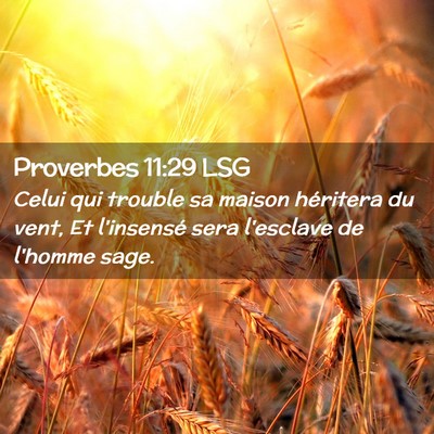 Picture 02 - Proverbes 11:29 LSG - Celui qui trouble sa maison héritera du vent, Et - Bible Verse Picture