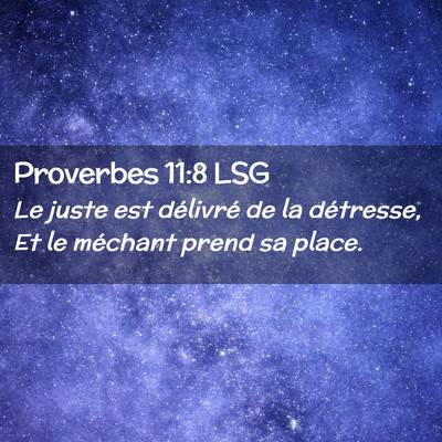 Picture 02 - Proverbes 11:8 LSG - Le juste est délivré de la détresse, Et le - Bible Verse Picture