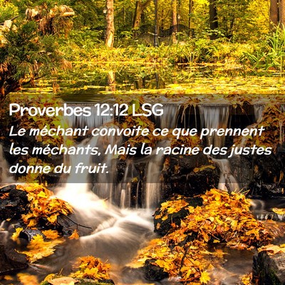 Picture 02 - Proverbes 12:12 LSG - Le méchant convoite ce que prennent les - Bible Verse Picture