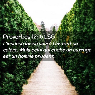 Picture 02 - Proverbes 12:16 LSG - L'insensé laisse voir à l'instant sa colère, - Bible Verse Picture