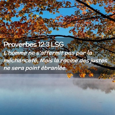 Picture 02 - Proverbes 12:3 LSG - L'homme ne s'affermit pas par la méchanceté, - Bible Verse Picture