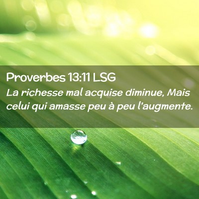 Picture 02 - Proverbes 13:11 LSG - La richesse mal acquise diminue, Mais celui qui - Bible Verse Picture
