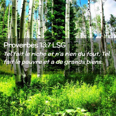 Picture 02 - Proverbes 13:7 LSG - Tel fait le riche et n'a rien du tout, Tel fait - Bible Verse Picture
