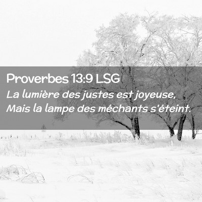 Picture 02 - Proverbes 13:9 LSG - La lumière des justes est joyeuse, Mais la lampe - Bible Verse Picture