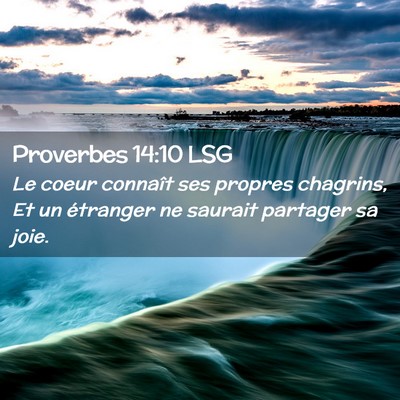 Picture 02 - Proverbes 14:10 LSG - Le coeur connaît ses propres chagrins, Et un - Bible Verse Picture