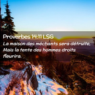 Picture 02 - Proverbes 14:11 LSG - La maison des méchants sera détruite, Mais la - Bible Verse Picture