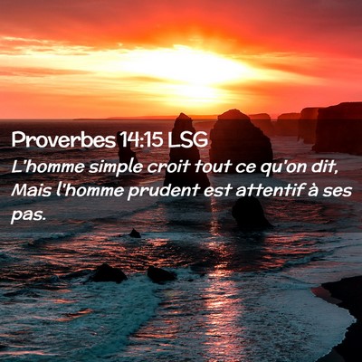 Picture 02 - Proverbes 14:15 LSG - L'homme simple croit tout ce qu'on dit, Mais - Bible Verse Picture