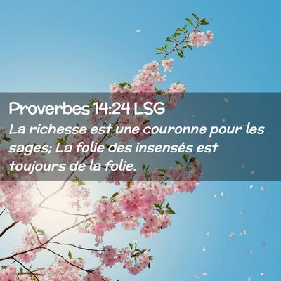 Picture 02 - Proverbes 14:24 LSG - La richesse est une couronne pour les sages; La - Bible Verse Picture