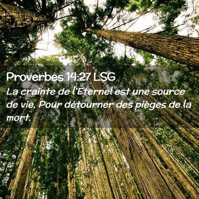 Picture 02 - Proverbes 14:27 LSG - La crainte de l'Eternel est une source de vie, - Bible Verse Picture