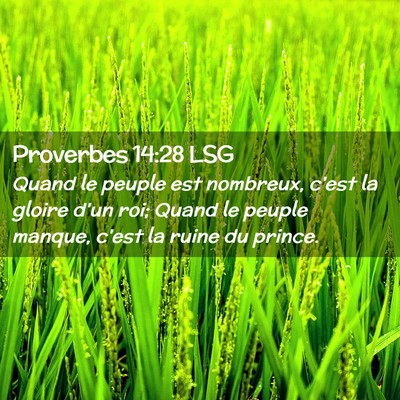 Picture 02 - Proverbes 14:28 LSG - Quand le peuple est nombreux, c'est la gloire - Bible Verse Picture