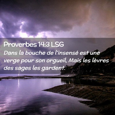 Picture 02 - Proverbes 14:3 LSG - Dans la bouche de l'insensé est une verge pour - Bible Verse Picture