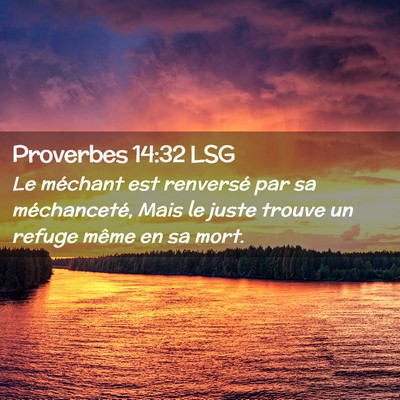 Picture 02 - Proverbes 14:32 LSG - Le méchant est renversé par sa méchanceté, - Bible Verse Picture