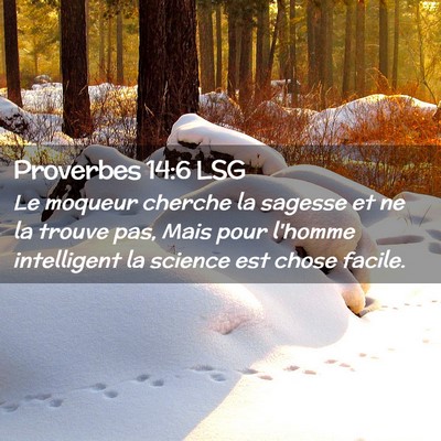 Picture 02 - Proverbes 14:6 LSG - Le moqueur cherche la sagesse et ne la trouve - Bible Verse Picture