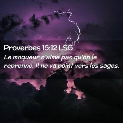 Picture 02 - Proverbes 15:12 LSG - Le moqueur n'aime pas qu'on le reprenne, Il ne va - Bible Verse Picture